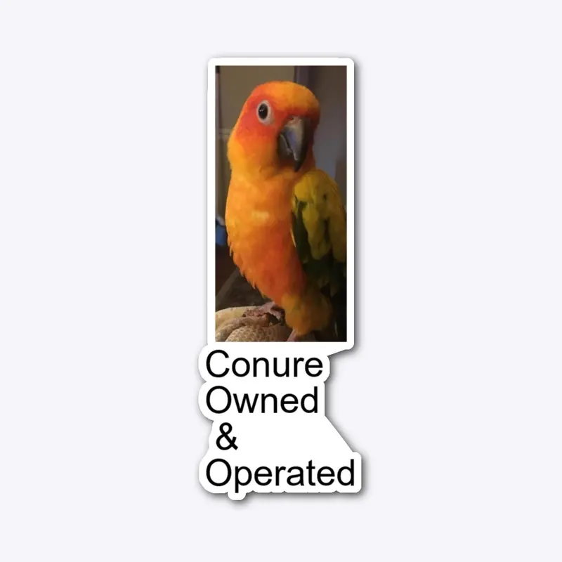 Conure owned & operated women's addition